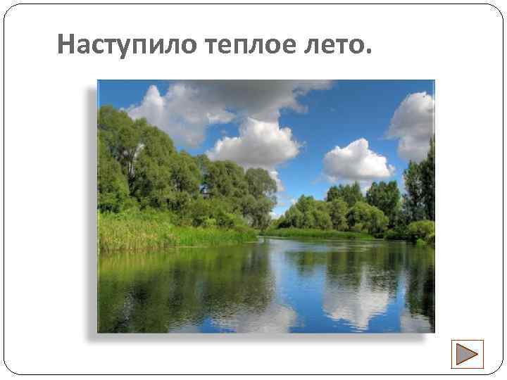 Наступило теплое лето. 
