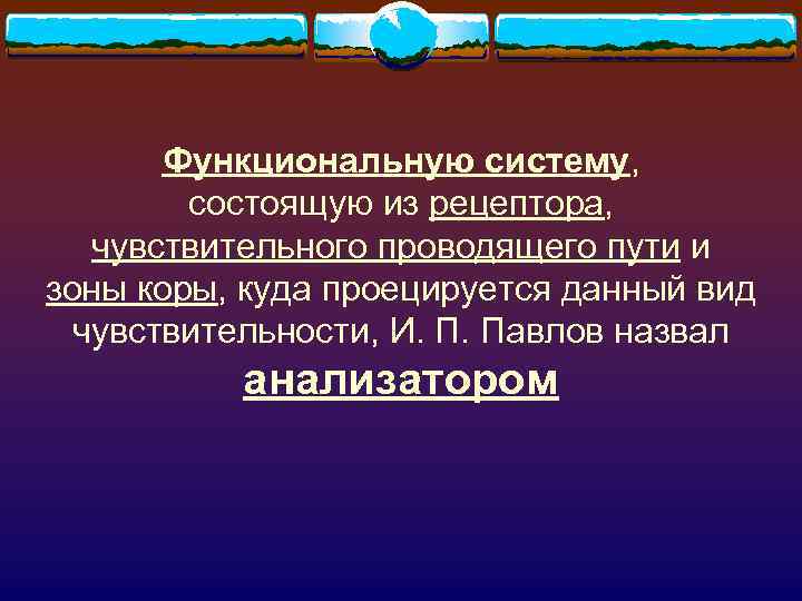 Функциональную систему, состоящую из рецептора, чувствительного проводящего пути и зоны коры, куда проецируется данный