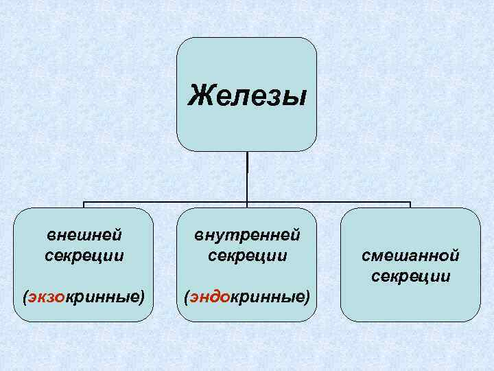 Железы внешней секреции внутренней секреции (экзокринные) (эндокринные) смешанной секреции 