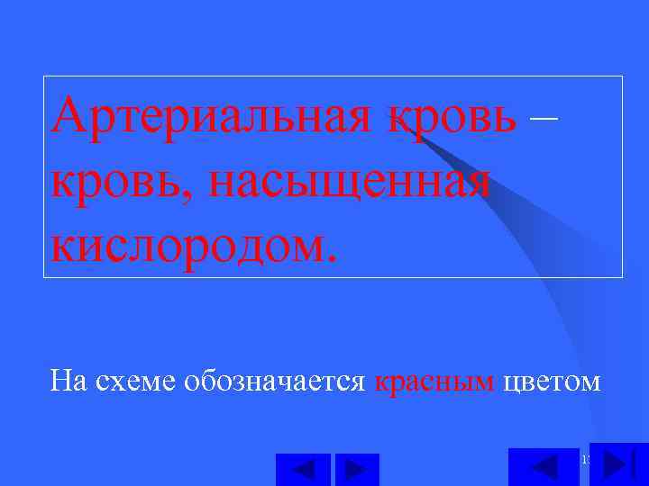 Артериальная кровь – кровь, насыщенная кислородом. На схеме обозначается красным цветом 12 