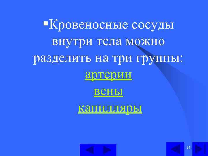 §Кровеносные сосуды внутри тела можно разделить на три группы: артерии вены капилляры 14 