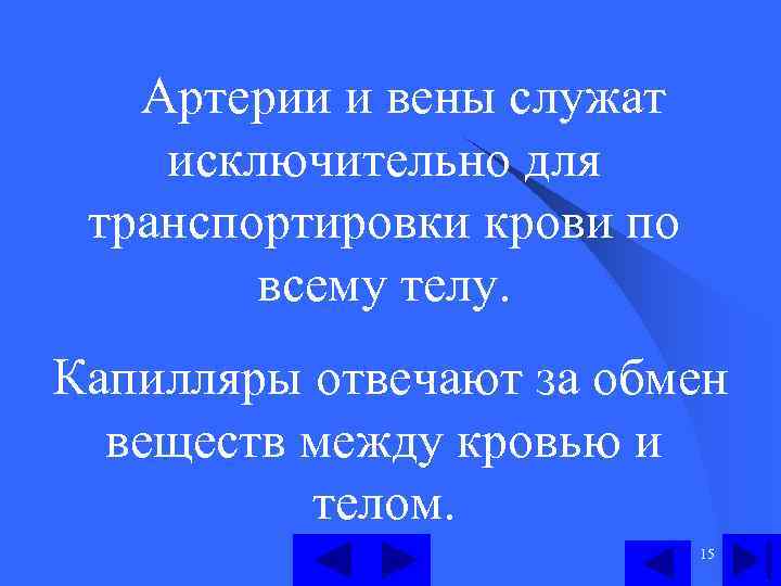  Артерии и вены служат исключительно для транспортировки крови по всему телу. Капилляры отвечают