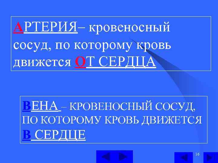 АРТЕРИЯ– кровеносный сосуд, по которому кровь движется ОТ СЕРДЦА ВЕНА – КРОВЕНОСНЫЙ СОСУД, ПО