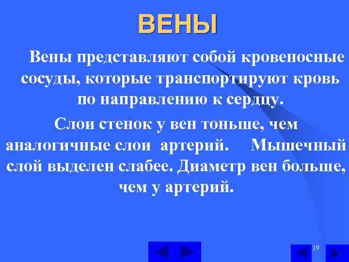 ВЕНЫ Вены представляют собой кровеносные сосуды, которые транспортируют кровь по направлению к сердцу. Слои