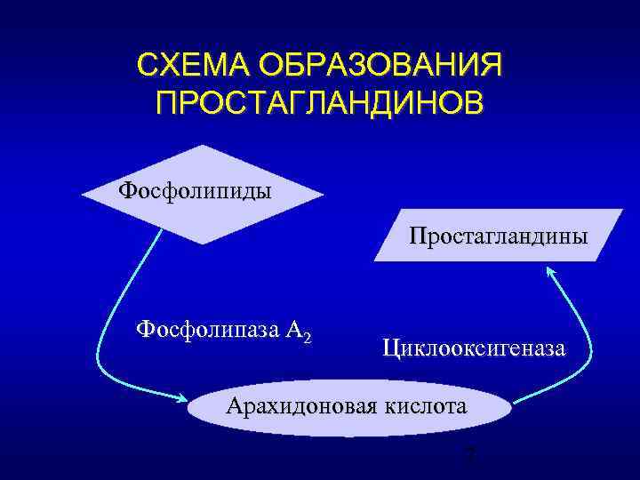 СХЕМА ОБРАЗОВАНИЯ ПРОСТАГЛАНДИНОВ Фосфолипиды Простагландины Фосфолипаза А 2 Циклооксигеназа Арахидоновая кислота 2 