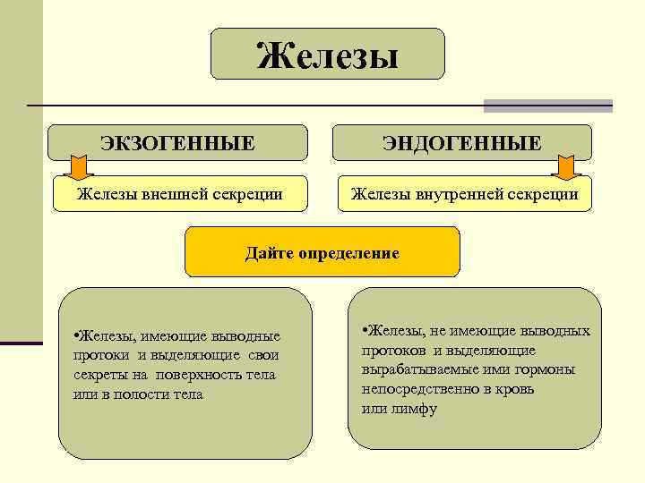 Железы ЭКЗОГЕННЫЕ ЭНДОГЕННЫЕ Железы внешней секреции Железы внутренней секреции Дайте определение • Железы, имеющие