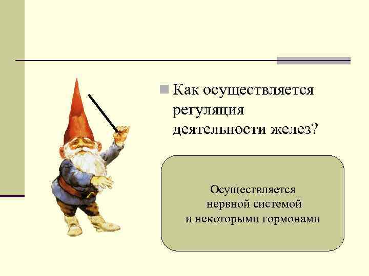 n Как осуществляется регуляция деятельности желез? Осуществляется нервной системой и некоторыми гормонами 