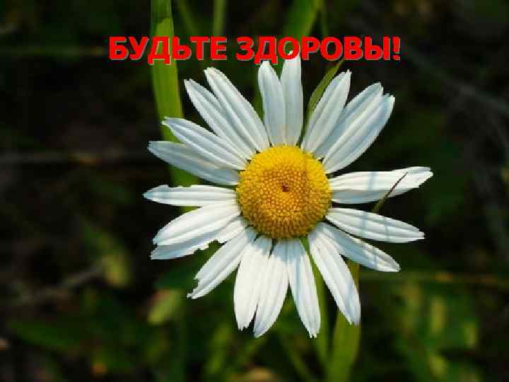 БУДЬТЕ ЗДОРОВЫ! 