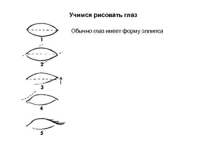 Учимся рисовать глаз Обычно глаз имеет форму эллипса 