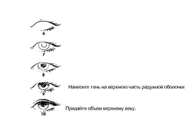 Нанесите тень на верхнюю часть радужной оболочки Придайте объем верхнему веку. 