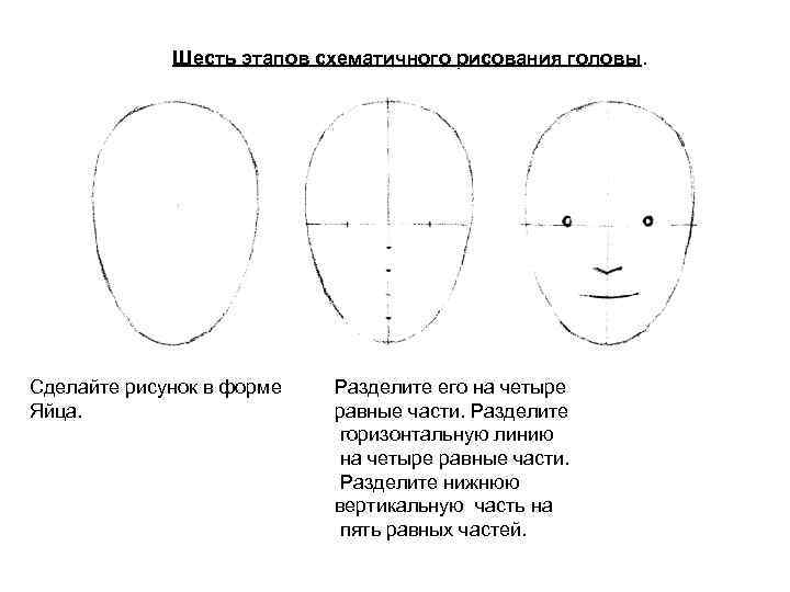 Голова человека поэтапно презентация