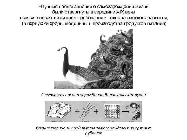 Научные представления о самозарождении жизни были отвергнуты в середине XIX века в связи с