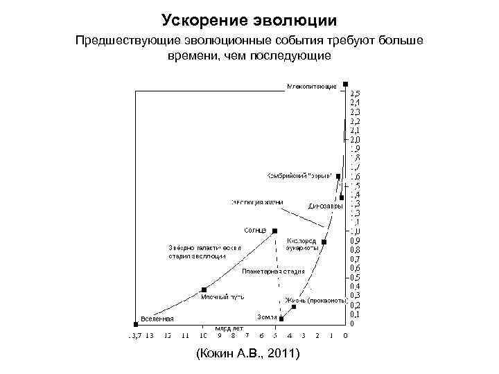 Ускорение эволюции Предшествующие эволюционные события требуют больше времени, чем последующие (Кокин А. В. ,