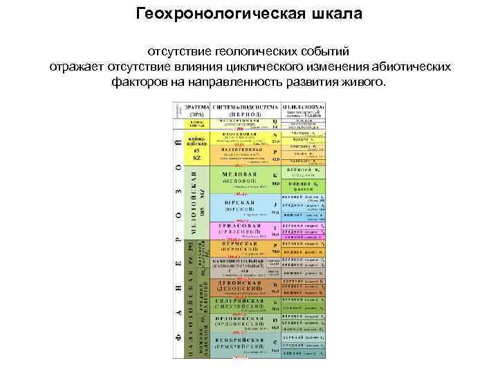 Геохронологическая шкала отсутствие геологических событий отражает отсутствие влияния циклического изменения абиотических факторов на направленность