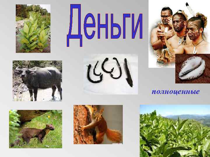 полноценные 