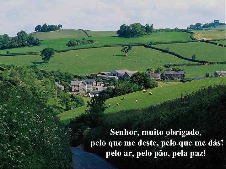 Senhor, muito obrigado, pelo que me deste, pelo que me dás! pelo ar, pelo