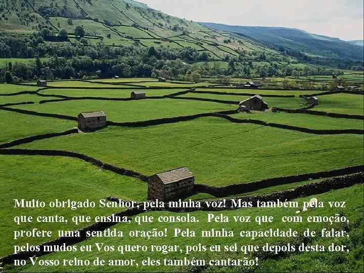 Muito obrigado Senhor, pela minha voz! Mas também pela voz que canta, que ensina,