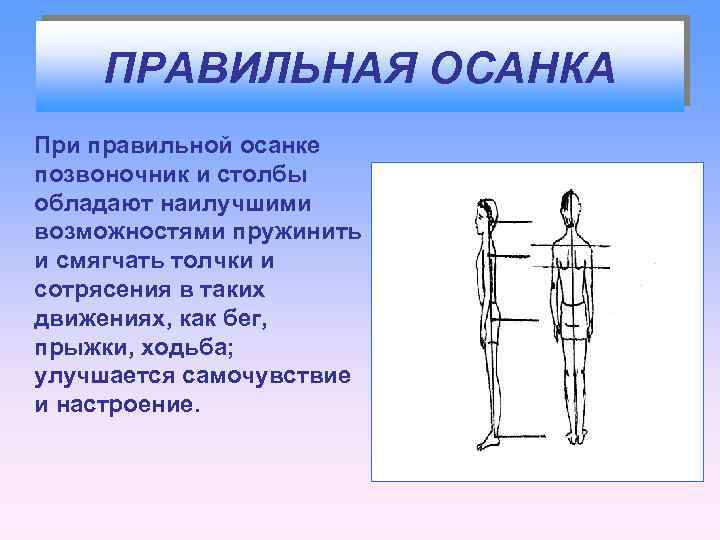 ПРАВИЛЬНАЯ ОСАНКА При правильной осанке позвоночник и столбы обладают наилучшими возможностями пружинить и смягчать