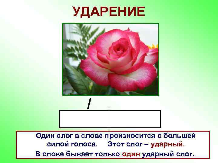 УДАРЕНИЕ / Один слог в слове произносится с большей силой голоса. Этот слог –