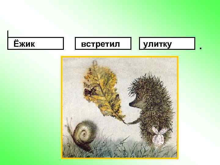 Ёжик встретил улитку . 