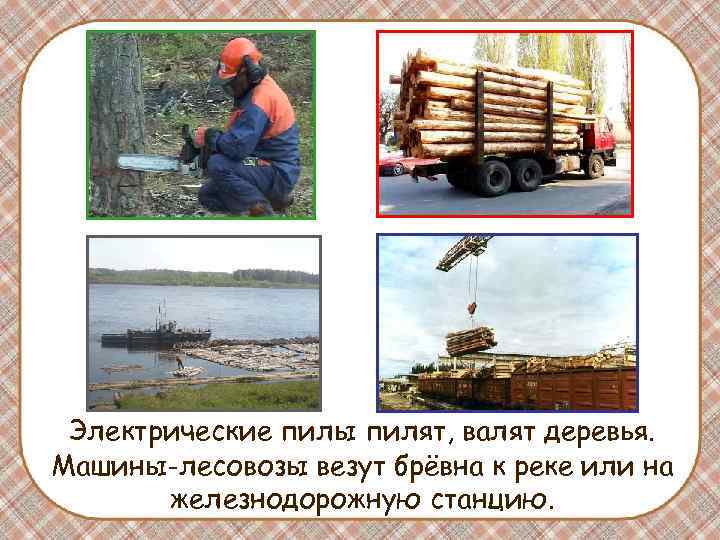 Электрические пилы пилят, валят деревья. Машины-лесовозы везут брёвна к реке или на железнодорожную станцию.