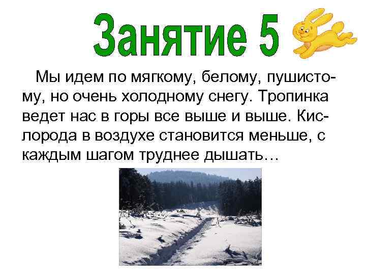 Мы идем по мягкому, белому, пушистому, но очень холодному снегу. Тропинка ведет нас в