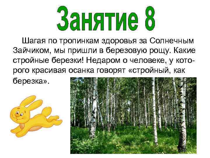 Шагая по тропинкам здоровья за Солнечным Зайчиком, мы пришли в березовую рощу. Какие стройные