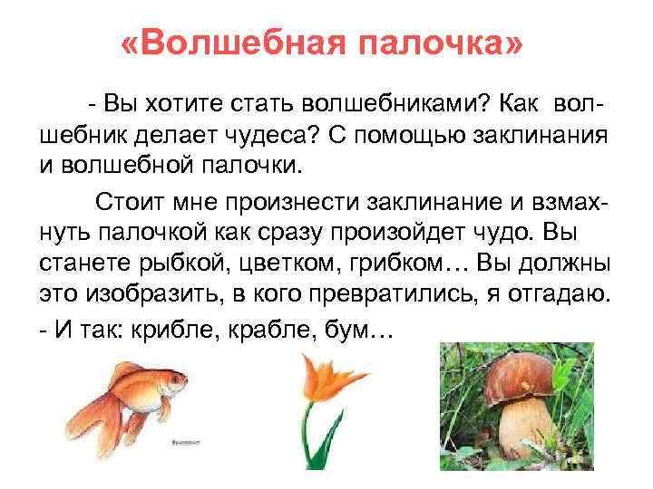  «Волшебная палочка» - Вы хотите стать волшебниками? Как волшебник делает чудеса? С помощью