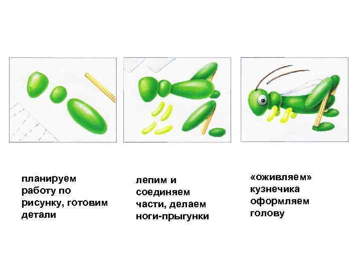 планируем работу по рисунку, готовим детали лепим и соединяем части, делаем ноги прыгунки «оживляем»