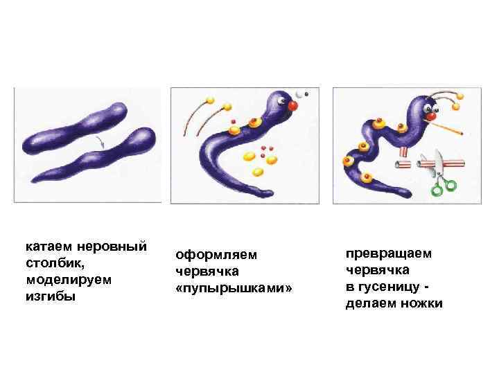 катаем неровный столбик, моделируем изгибы оформляем червячка «пупырышками» превращаем червячка в гусеницу делаем ножки