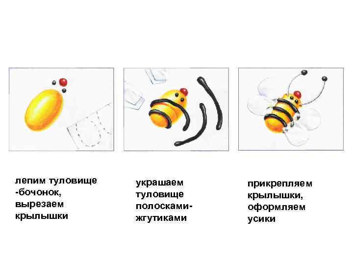 лепим туловище бочонок, вырезаем крылышки украшаем туловище полосками жгутиками прикрепляем крылышки, оформляем усики 