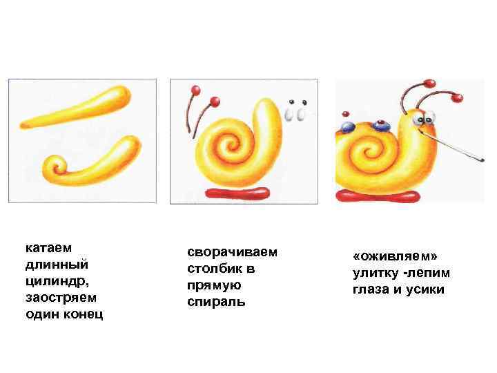 катаем длинный цилиндр, заостряем один конец сворачиваем столбик в прямую спираль «оживляем» улитку лепим