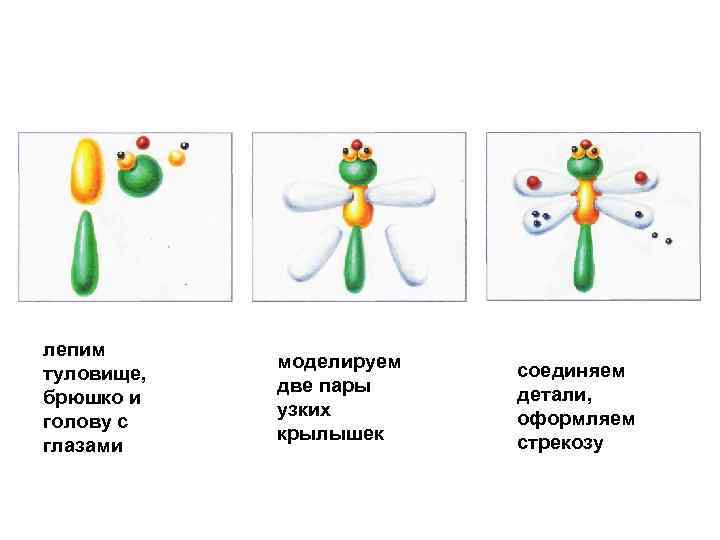 лепим туловище, брюшко и голову с глазами моделируем две пары узких крылышек соединяем детали,