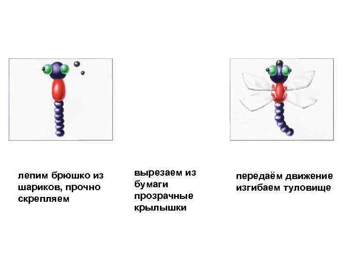 лепим брюшко из шариков, прочно скрепляем вырезаем из бумаги прозрачные крылышки передаём движение изгибаем