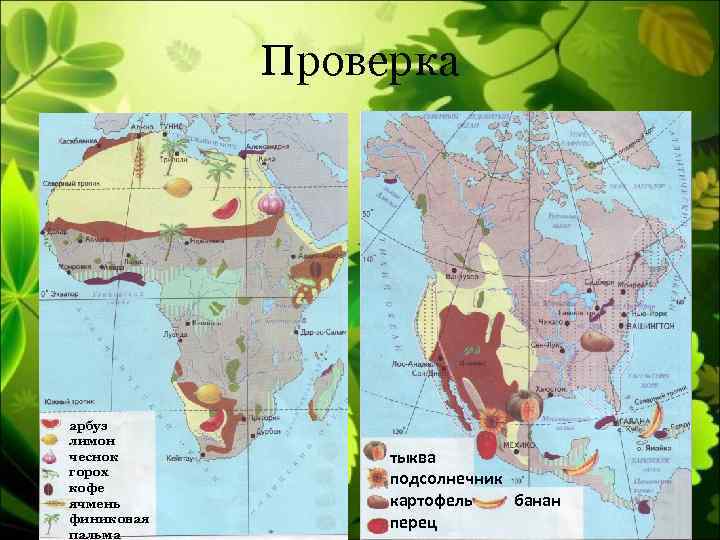 Районы выращивания главных экспортных культур в африке контурная карта