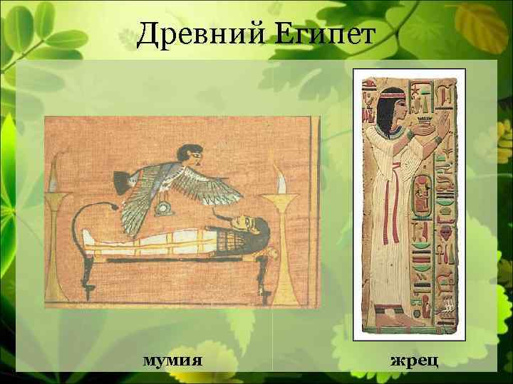 Древний Египет мумия жрец 