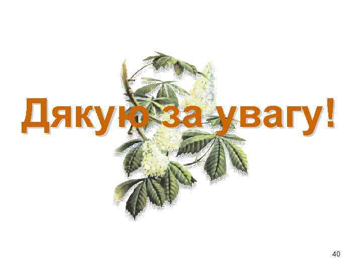 Дякую за увагу! 40 