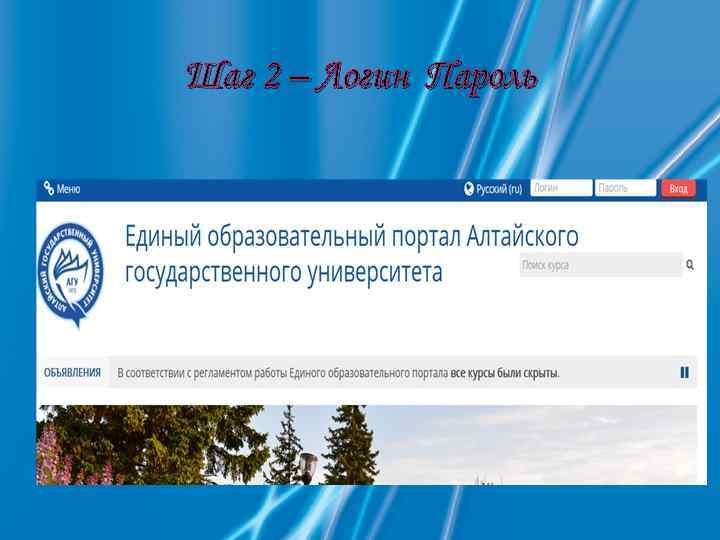 Шаг 2 – Логин Пароль 