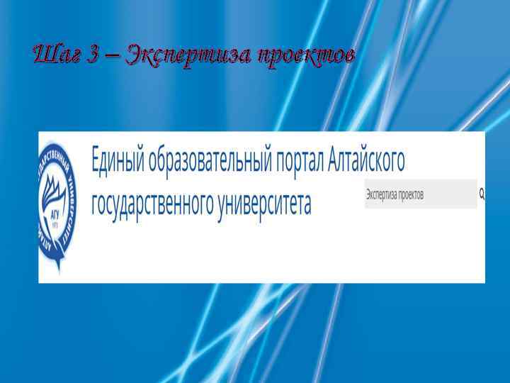 Шаг 3 – Экспертиза проектов 