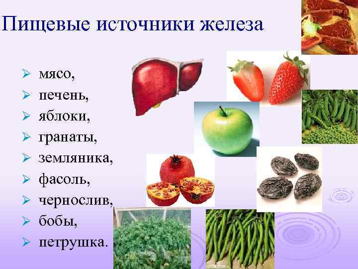 Пищевые источники железа Ø Ø Ø Ø Ø мясо, печень, яблоки, гранаты, земляника, фасоль,