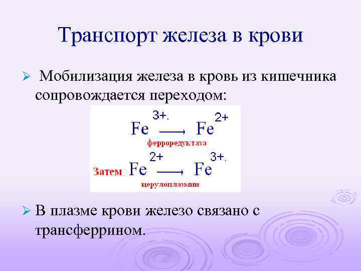 Транспорт железа в крови Ø Мобилизация железа в кровь из кишечника сопровождается переходом: ØВ