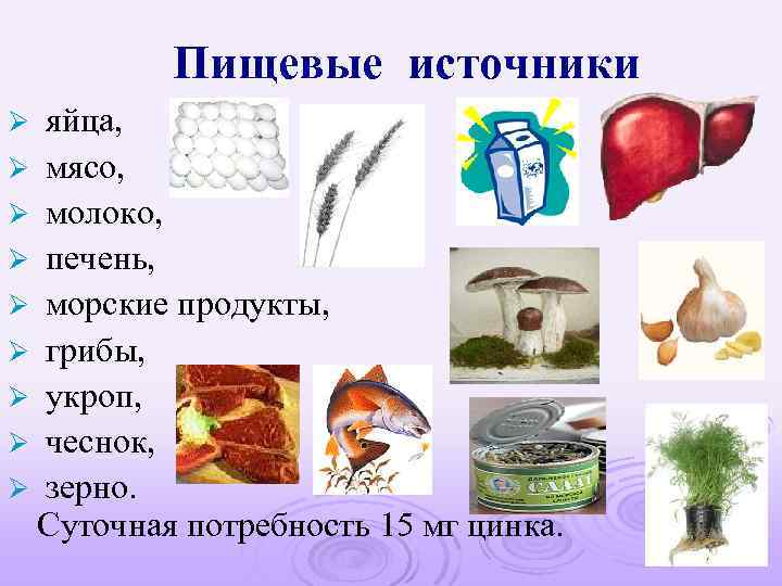 Пищевые источники яйца, Ø мясо, Ø молоко, Ø печень, Ø морские продукты, Ø грибы,