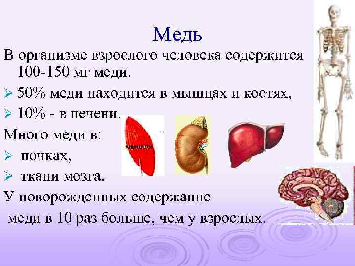 Медь В организме взрослого человека содержится 100 -150 мг меди. Ø 50% меди находится