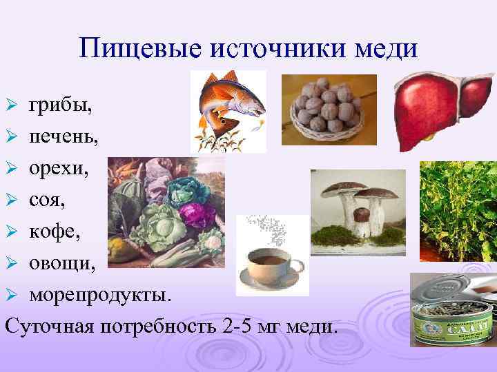 Пищевые источники меди грибы, Ø печень, Ø орехи, Ø соя, Ø кофе, Ø овощи,
