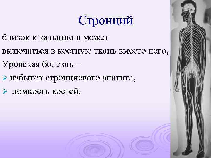 Стронций близок к кальцию и может включаться в костную ткань вместо него, Уровская болезнь