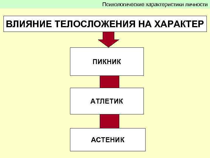 Психологические характеристики личности ВЛИЯНИЕ ТЕЛОСЛОЖЕНИЯ НА ХАРАКТЕР ПИКНИК АТЛЕТИК АСТЕНИК 