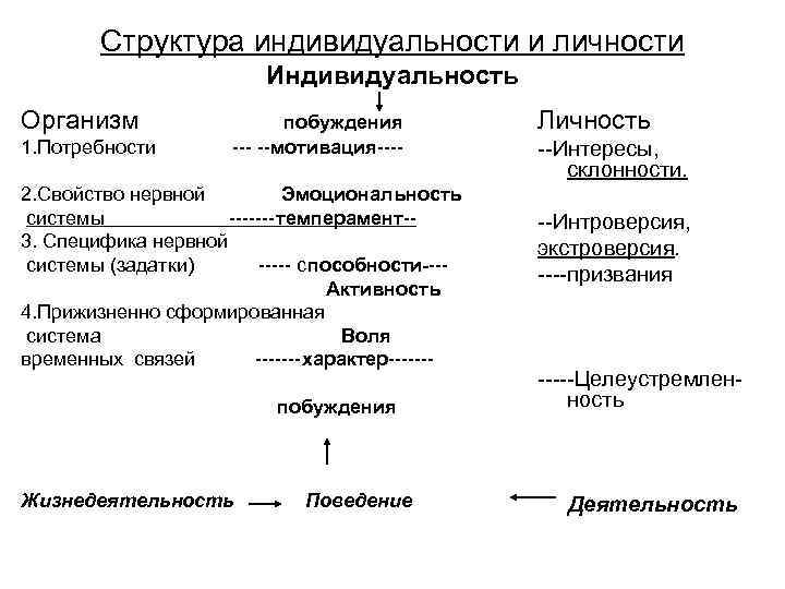 Структура индивидуальности и личности Индивидуальность Организм 1. Потребности побуждения --- --мотивация---- 2. Свойство нервной