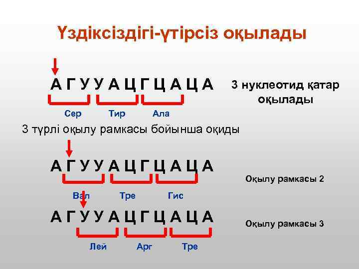Үздіксіздігі-үтірсіз оқылады АГУУАЦГЦАЦА Сер Тир 3 нуклеотид қатар оқылады Ала 3 түрлі оқылу рамкасы