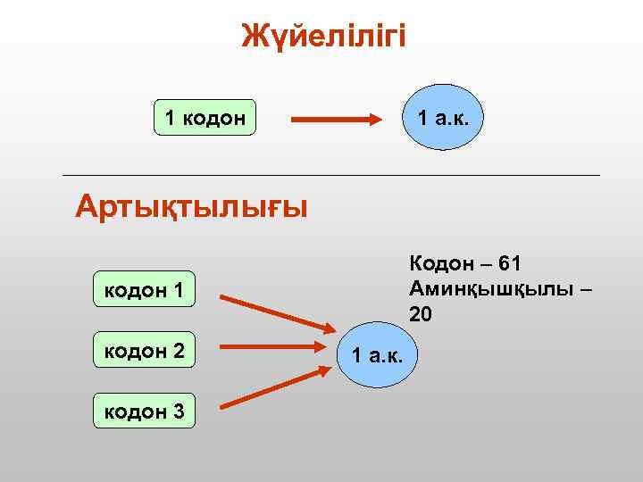 Код с трансляции x medium