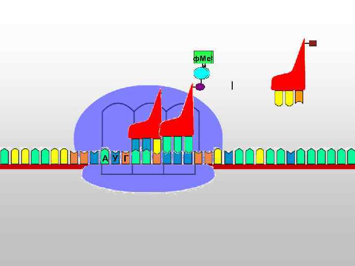 ф. Ме т т А У Г 